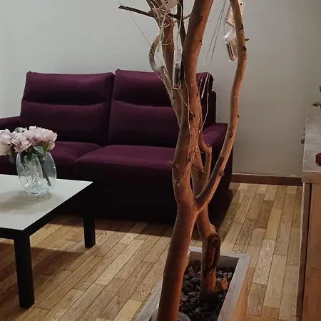 公寓 Etna & Sea - Borgo House 卡塔尼亚